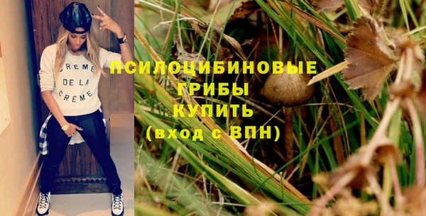 винт Армянск