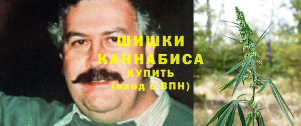 винт Армянск